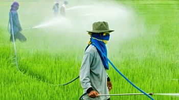 Consumidores não acham que produção de alimento ameace o meio ambiente