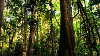 Delegação de MT debate mudanças climáticas em Madri