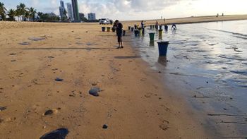 Óleo avança e atinge mais praias no Grande Recife