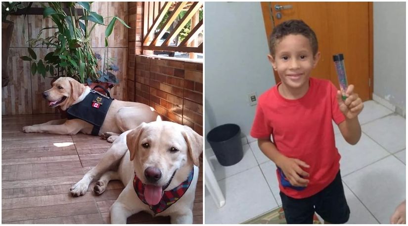 Cães farejadores são usados nas buscas por menino Samuel em Rondonópolis