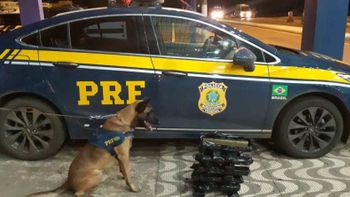 Dois são interceptados pela PRF com 21 kg de maconha e cocaína em ônibus de viagem 