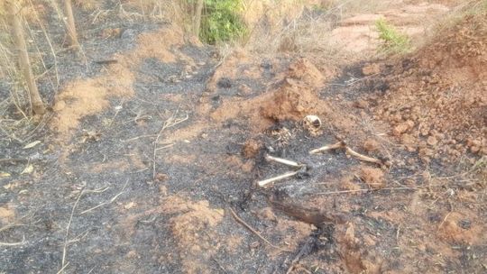 Bombeiros encontrar ossada humana durante incêndio em mata 