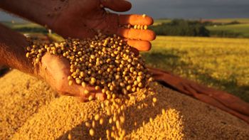 Produtor pode solicitar recursos do Plano Safra à partir de hoje