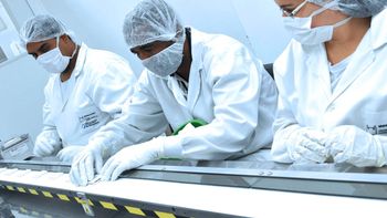 Bio Manguinhos desenvolve teste rápido para dengue, zika e chikungunya