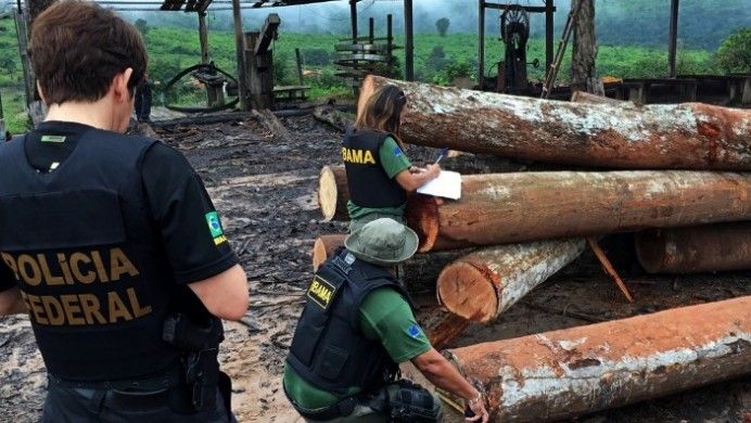 PF delfagra operação contra exploração ilícita de madeiras na Amazônia