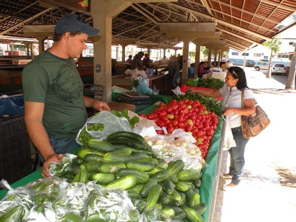 AL fará audiência pública para debater problemas da agricultura familiar