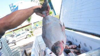 MPE esclarece que não determinou cancelamento do projeto Peixe Santo