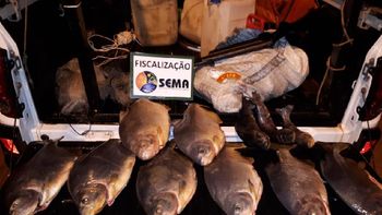 Sema apreende pescado irregular e espingarda