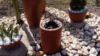 Plantas ornamentais e gramas são furtadas de canteiros na Avenida dos Estudantes