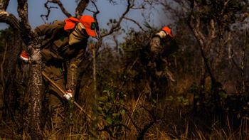 Governo do Estado lança plano de combate às queimadas nesta quarta-feira