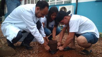 Alunos plantam muda de Nim indiano em Escola Técnica