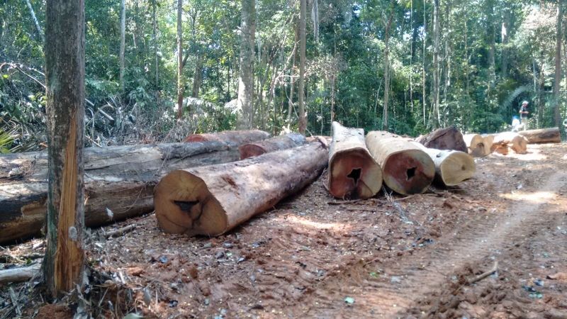 Levantamento revela que apenas 1% das multas são pagas em MT
