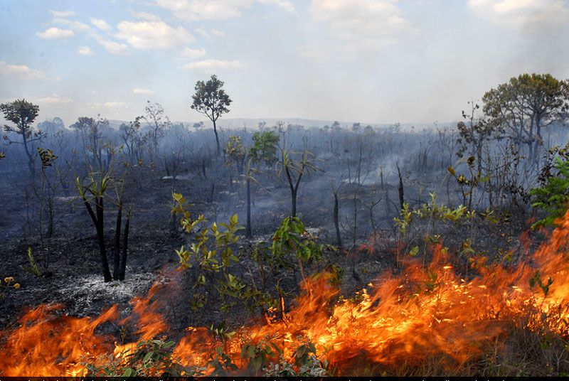 MPE adota providências para sensibilizar e combater focos de incêndio