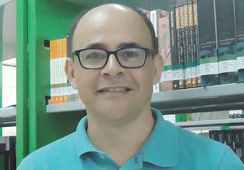 Manhas e artimanhas da língua portuguesa