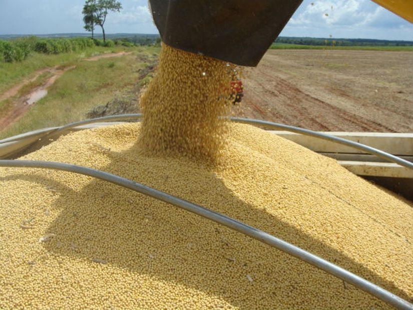 IBGE estima alta de 4,2% na produção agrícola do Brasil