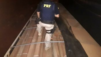 PRF apreende 70 toneladas de madeira ilegal
