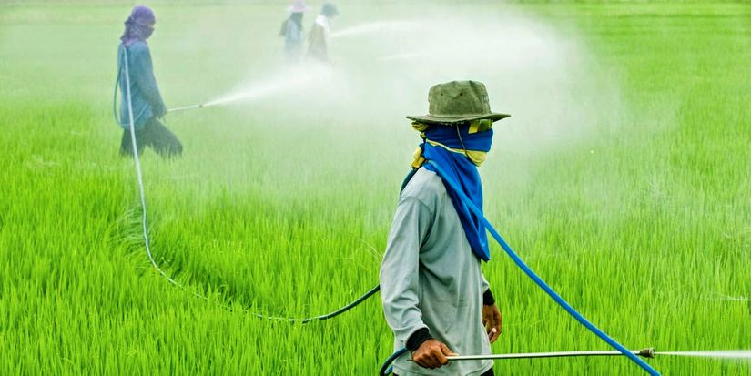 Consumidores não acham que produção de alimento ameace o meio ambiente