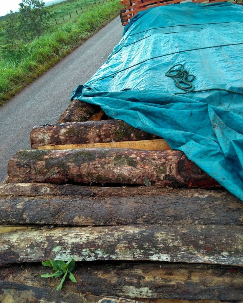 Homens são flagrados com 170 lascas e vão responder por crime ambiental