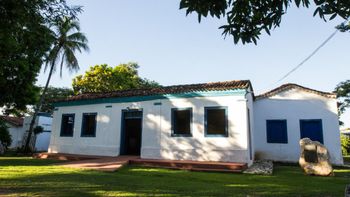 Museu de História Natural será reaberto ao público