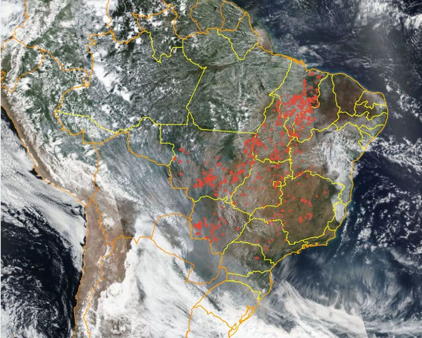 Cerrado registra mais focos de queimadas do que a Amazônia nos primeiros dias de setembro