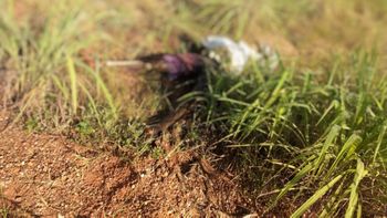 Corpo em avançado estado de decomposição é achado em matagal por moradores