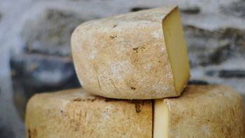 Qual o tipo de queijo mais saudável?