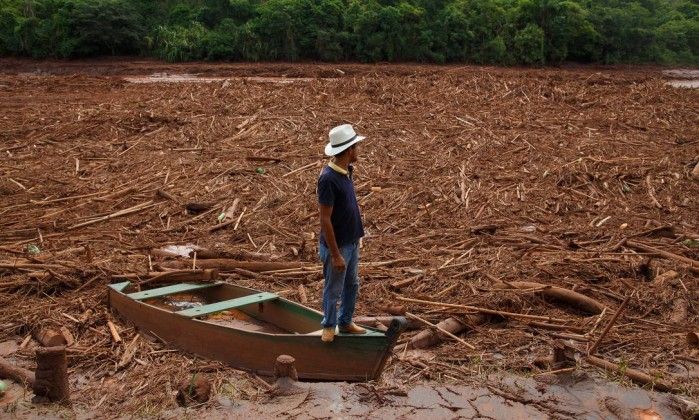 Reflorestamento da bacia do Rio Doce custará R$ 1,1 bilhão