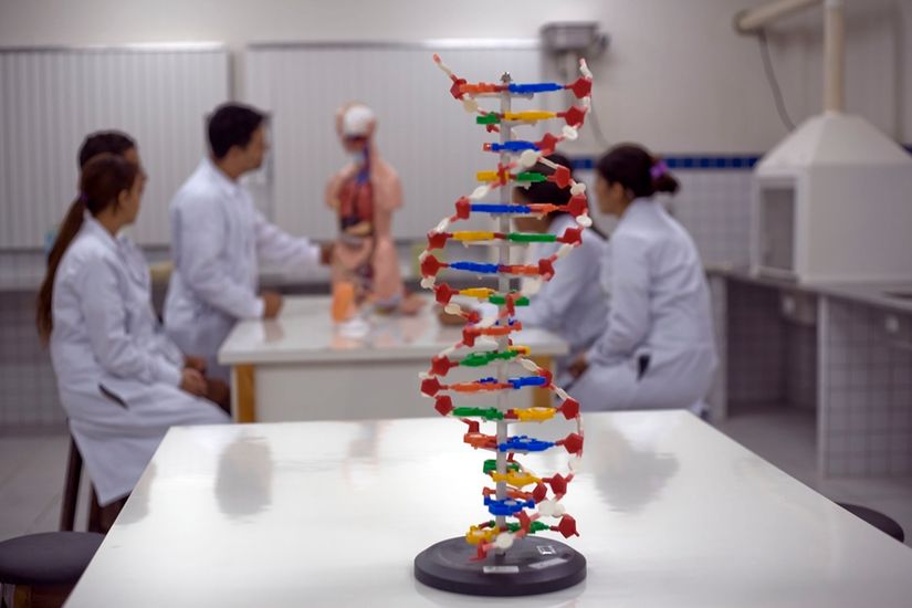 MEC suspende criação de cursos de medicina por 5 anos
