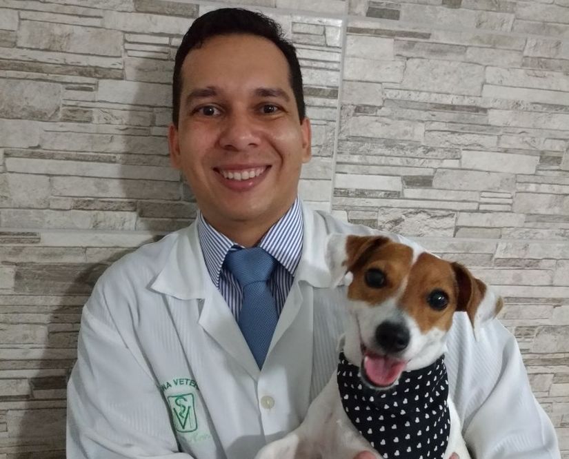 Fratura em cães:  são mais comuns do que se pensa !