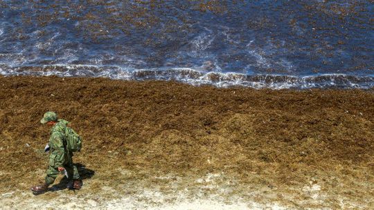 Óleo continua se espalhando e atinge novas praias de Pernambuco