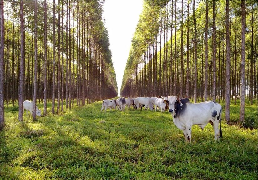 Expoagro traz inovações e tendência em 10ª etapa da RedeAgro
