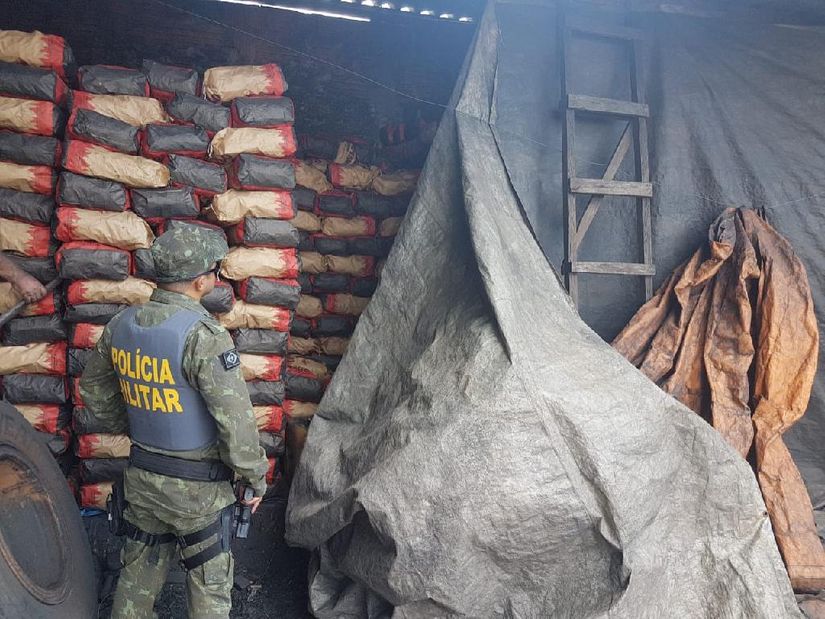 Empresária é multada em R$ 60 mil após ser flagrada com 40 toneladas de carvão