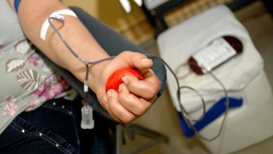 AL mantém PL que inclui doadores de sangue em grupo prioritário