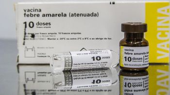 Febre amarela causa a morte de 14 pessoas em 2019, diz ministério