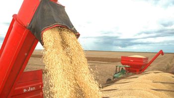 Valor da produção agropecuária de 2018 é de R$ 516,6 bilhões