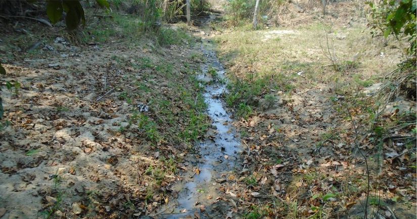 Pacto em defesa das cabeceiras do pantanal já cercou 11 nascentes em Jauru