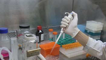 Concorrência pode reduzir custo de medicamentos biológicos