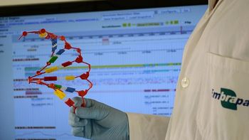 Embrapa promove capacitações em bioinformática