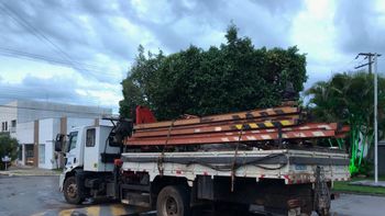 Empresário e funcionários de concessionária são presos por venda ilegal de postes de energia