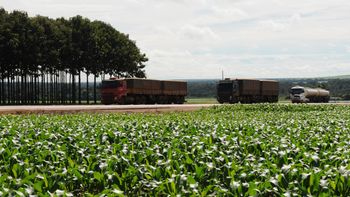 Concessionária alerta para fluxo da BR-163 durante escoamento de soja