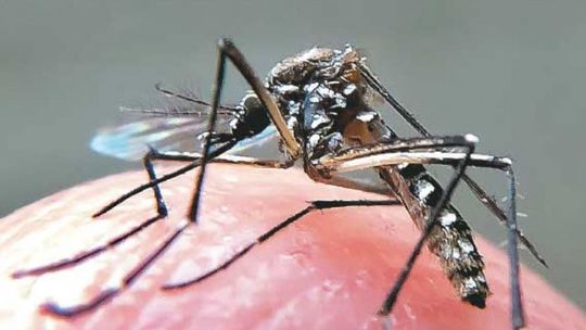 Governo coopera com Várzea Grande no enfrentamento à chikungunya