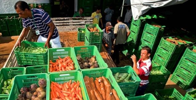 Agricultores sofrem com a redução do Programa de Aquisição de Alimentos