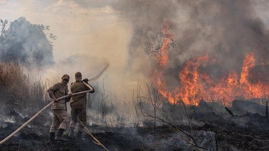 MT vai receber R$ 23,8 milhões para combater queimadas e desmatamento