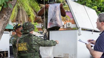 Sema apreende mais de uma tonelada de pescado ilegal