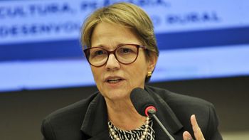 Ministra da Agricultura exonera "afilhados" de Maggi