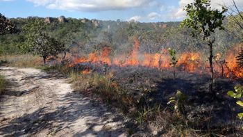 Período mais severo de seca acende alerta para prevenção de incêndios na vegetação