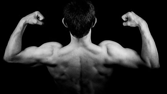 Homens jovens comem poucos vegetais e preferem ganhar músculos