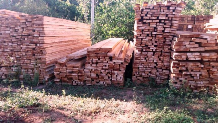 Sema de Rondonópolis realiza amanhã leilão de madeiras apreendidas