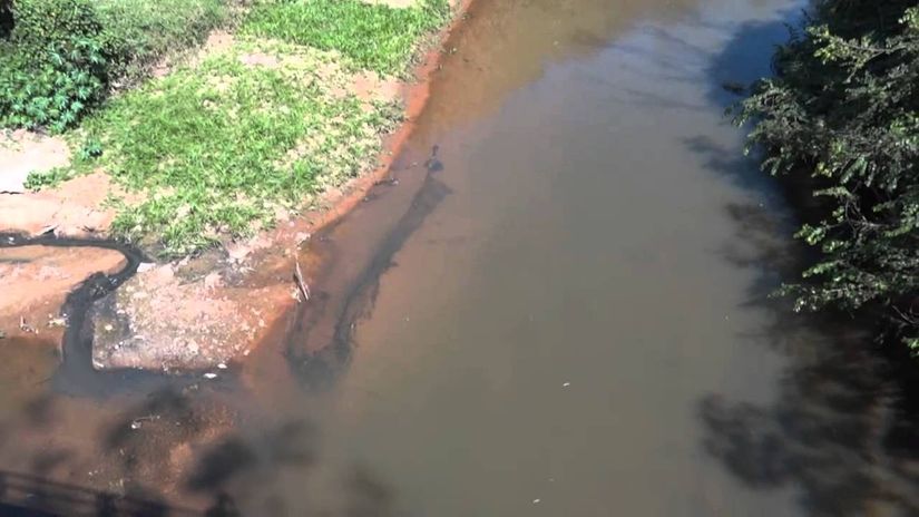Após aparição de peixes mortos, Semma de Rondonópolis recomenda não utilização ou pesca no Arareau