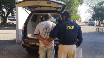 Homem compra gado roubado e é preso na BR-364